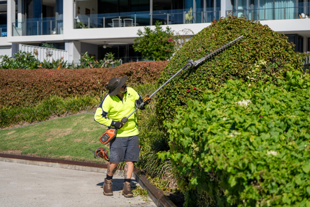 Advance Landscapes team member trimming a hedge with a pole hedger at Allisee Residential Apartments, Hollywell