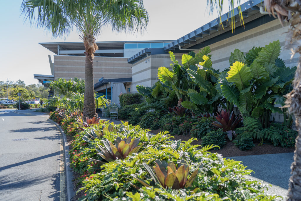 Tropical garden bed with palms and bromeliads maintained at Westfield Helensvale car park entrance