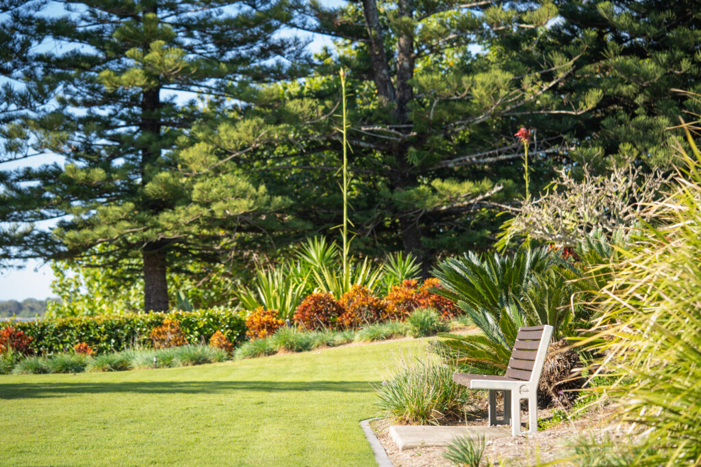 Cycads and garden bed maintained beside a lawn at Allisee Residential Apartments, Hollywell