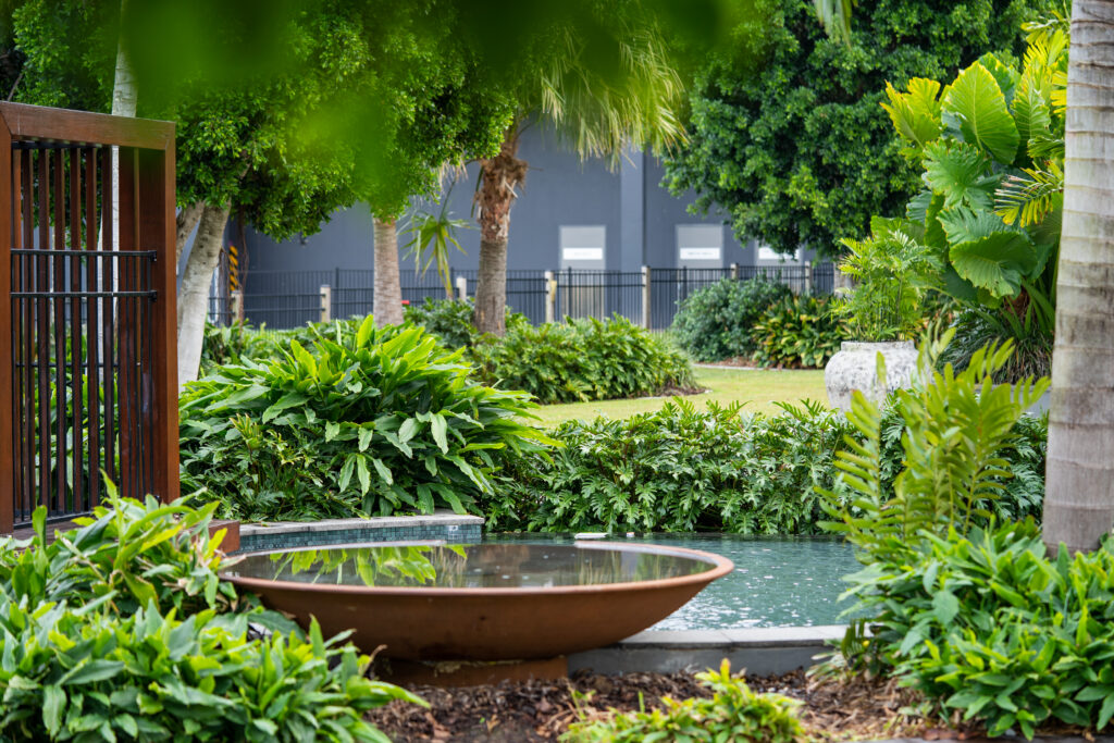 Landscaped garden with water feature at Westfield Coomera, maintained by Advance Landscapes