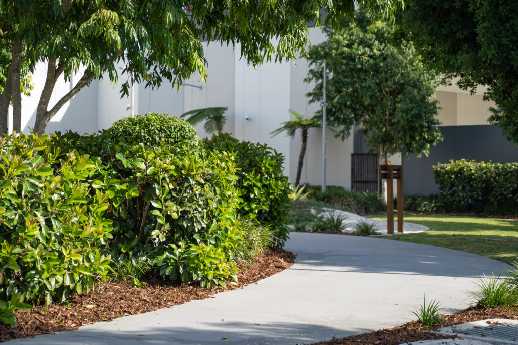 Trimmed hedging and manicured lawn maintained at Westfield Coomera