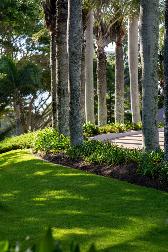 Manicured lawn and palm tree avenue maintained at Grand Mariner