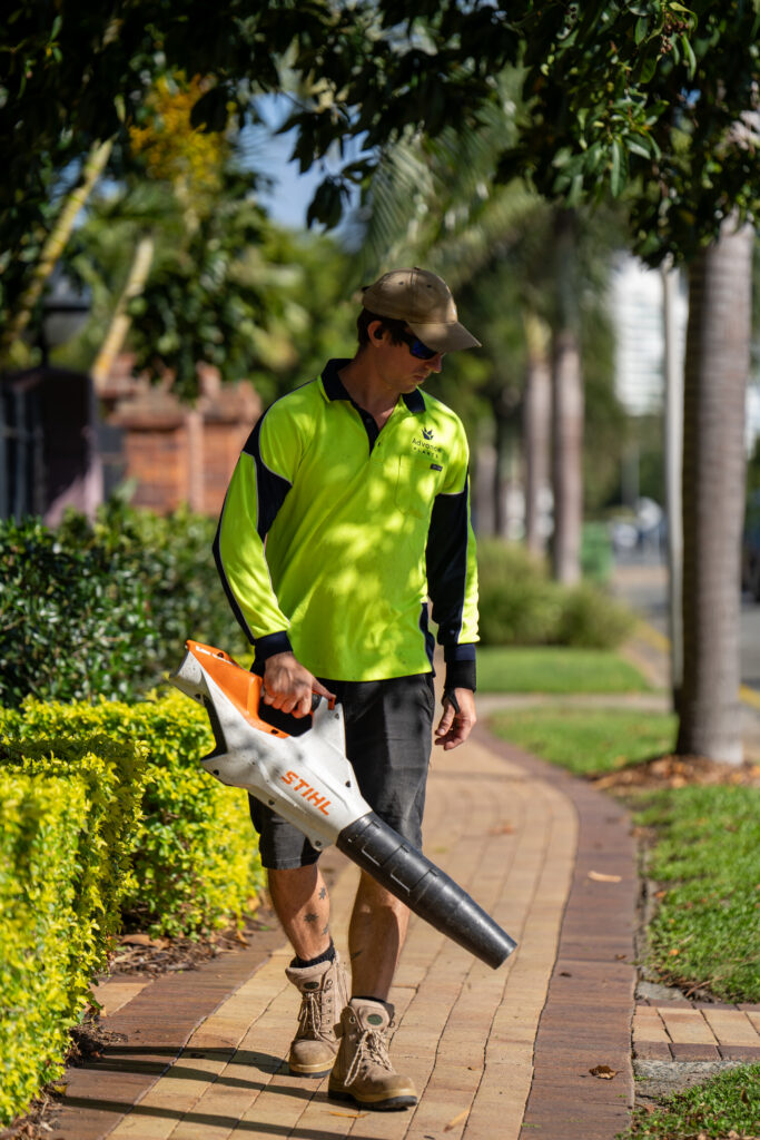 Advance Landscapes team member maintaining garden beds along a palm-lined path at Grand Mariner