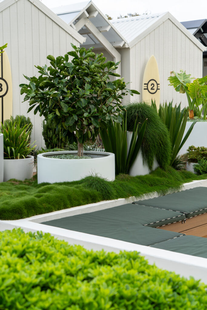 Potted trees, strappy tropical plants and lawn beside white poolside cabanas at QT Gold Coast, Surfers Paradise
